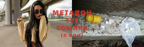 прущие грибы Кодинск