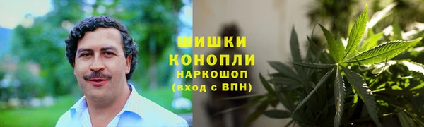 кокс Корсаков