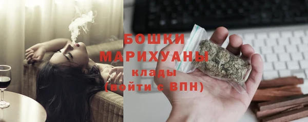 прущие грибы Кодинск