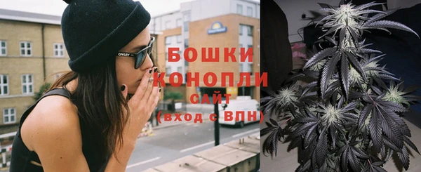кокс Корсаков