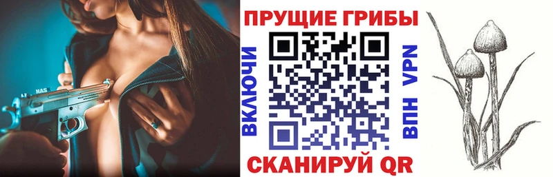 Купить  Жиздра  Галлюциногенные грибы мицелий 